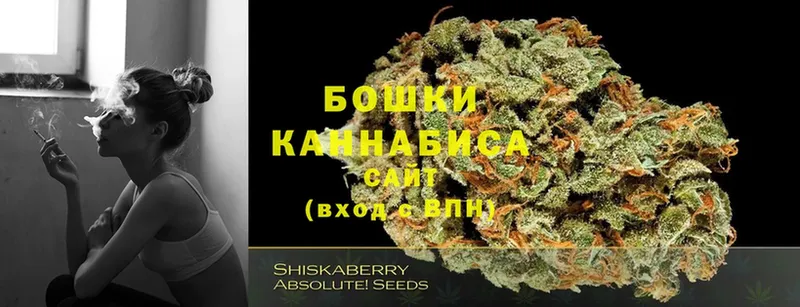 где можно купить   mega ТОР  Каннабис Ganja  Правдинск 